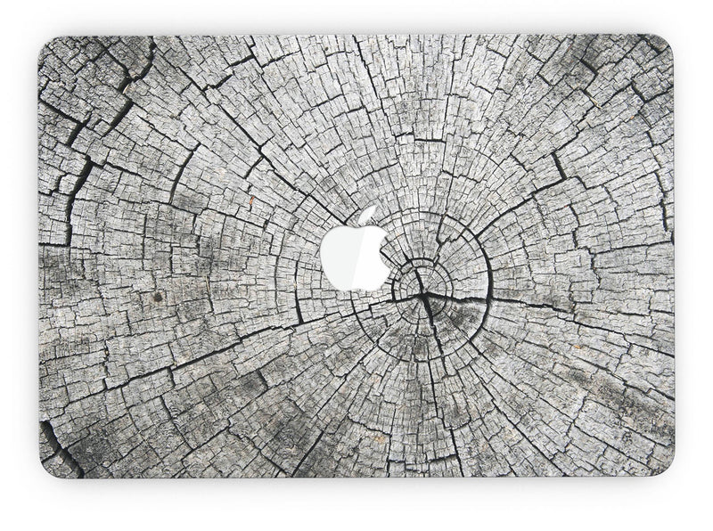 Aged_Cracked_Tree_Stump_Core_-_13_MacBook_Pro_-_V7.jpg