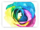 Rainbow_Dyed_Rose_V1_-_13_MacBook_Pro_-_V7.jpg