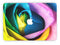 Rainbow_Dyed_Rose_V3_-_13_MacBook_Pro_-_V7.jpg