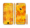 The Abstract Fall Leaves Sectioned Skin Series for the Apple iPhone 6/6s