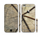 The Cracked Wooden Stump Sectioned Skin Series for the Apple iPhone 6/6s