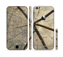 The Cracked Wooden Stump Sectioned Skin Series for the Apple iPhone 6/6s Plus