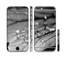 The Grayscale Watered Leaf Sectioned Skin Series for the Apple iPhone 6/6s