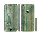 The Green Tinted Wood Planks Sectioned Skin Series for the Apple iPhone 6/6s