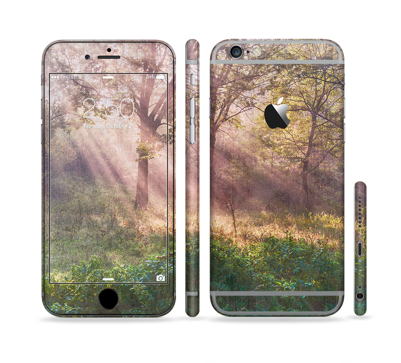 The Pink Sun Ray Meadow Sectioned Skin Series for the Apple iPhone 6/6s Plus