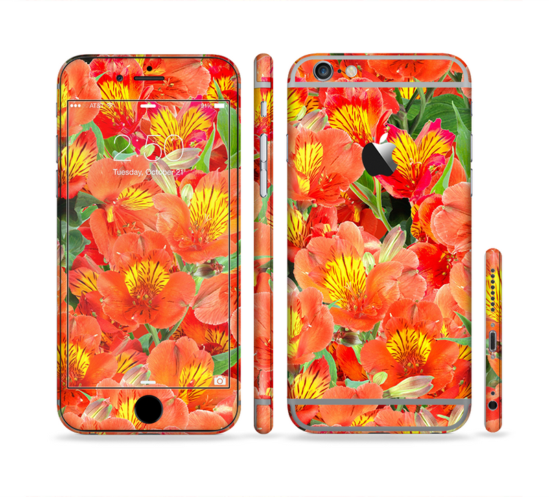 The Red and Yellow Watercolor Flowers Sectioned Skin Series for the Apple iPhone 6/6s