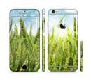 The Sunny Wheat Field Sectioned Skin Series for the Apple iPhone 6/6s