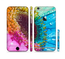The Vibrant Colored Wet Flower Sectioned Skin Series for the Apple iPhone 6/6s Plus