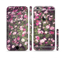 The Vintage Pink Floral Field Sectioned Skin Series for the Apple iPhone 6/6s