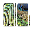 The Watered Peacock Detail Sectioned Skin Series for the Apple iPhone 6/6s