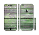 The Wooden Planks with Chipped Green Paint Sectioned Skin Series for the Apple iPhone 6/6s Plus