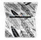 Vector_Black_and_White_Feathers_-_13_MacBook_Pro_-_V4.jpg